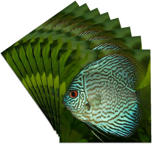 3dRose Blue Exotic Discus Fish Set of 8 Ceramic Tile Coasters