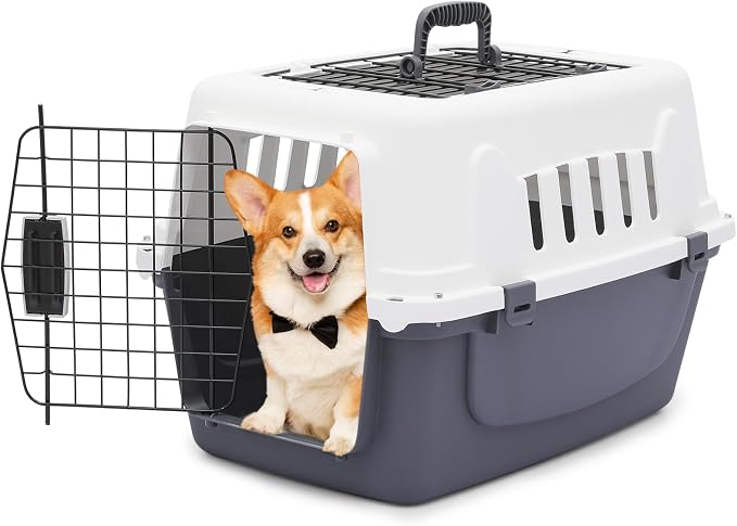 Athena Collection 22" Hard-Sided Travel Pet Carrier for Small Dogs and Cats | Plastic Dog Crate with 2-Door Top & Front Load, Ventilation, Security Lock, Cat Dog Carrier for Pet, up to 22lbs, Grey