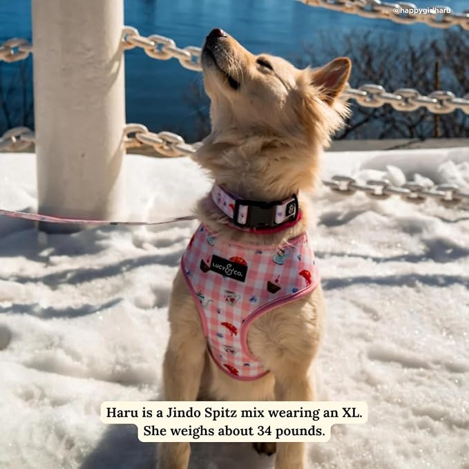 Lucy & Co. Reversible Dog Harness - Water-Repellent Neoprene, Dual-Print Design, Easy Swap Style, Adjustable Comfort Fit - Sipping Slowly Reversible Harness - Large