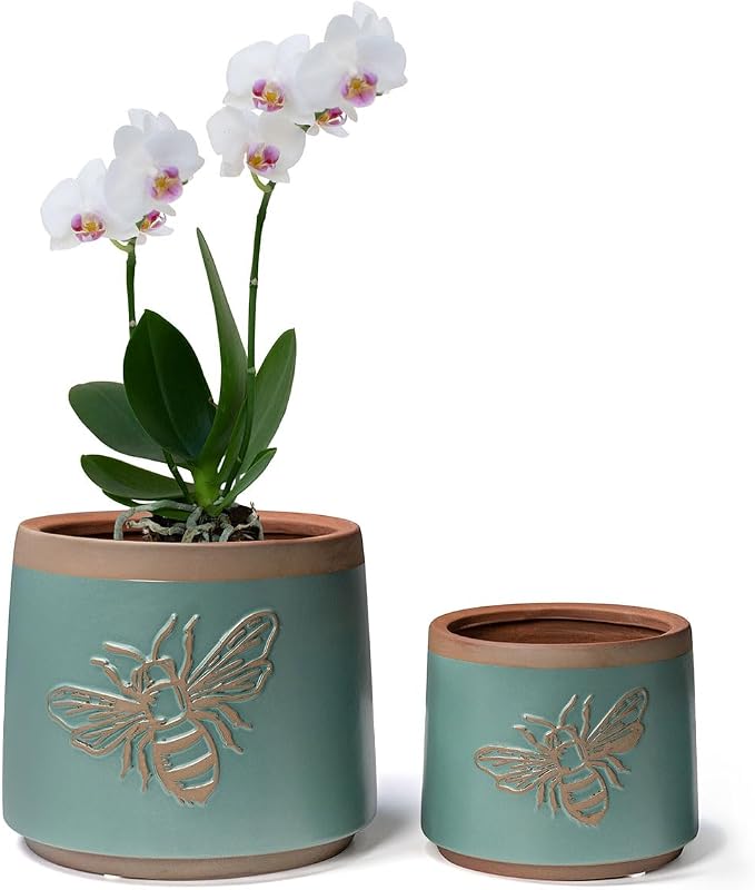 YBX Terracotta Pots with Drainage Holes, Bee Decor, Planter for Indoor Plants, Flower Pots Indoor Succulent, Herbs, Snake Plants (Turquoise, 6+4 Inch)