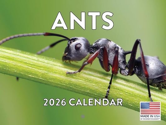 Ant Calendar 2026 Ants Monthly Wall Calender 12 Month Ants Gifts For Insect Lovers | American Made In The USA