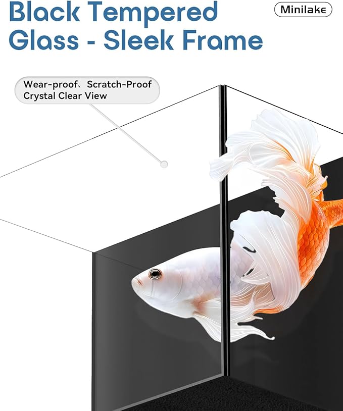 Glass Fish Tank Kit, 2.5 Gallon Betta Fish Tank Aquarium Starter Kit with Filter, Lights, Lid, for Betta, Goldfish, Small Fish or shrimg, Black