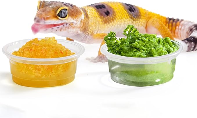 TOPZEA 500 Pack Gecko Food and Water Cups, 0.5 oz Small Plastic Gecko Feeding Dish Reptile Feeder Water Bowls for Lizard Crested Gecko Tarantula and Small Pets, Reptile Accessories
