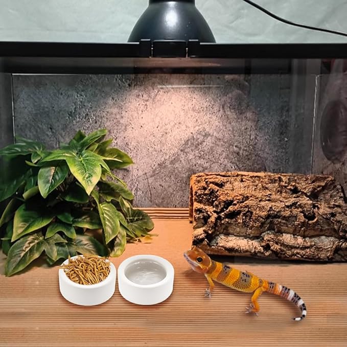 3 Pack Small Reptile Feeding Bowl Ceramic Food and Water Dish for Tarantula Hermit Crab Lizard Gecko Frog Turtle Small Reptile (White)