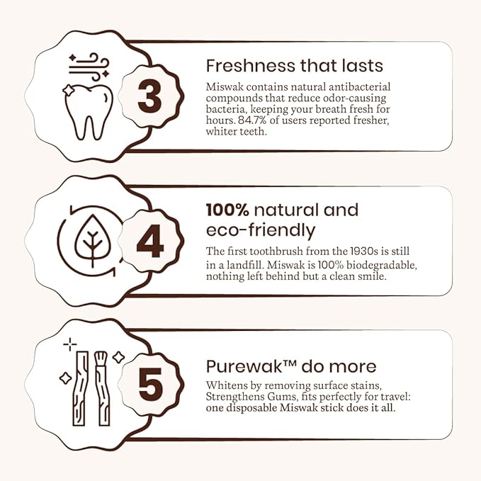 Miswak Sticks, 100% Natural Miswak, Whitens Naturally, Freshens Breath, Miswak Sticks, Traditional Tooth Cleaning Sticks, 3 Months Supply, 1 Pack, 12 Miswak Sticks with Holder.