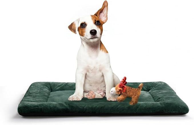 Dog Crate Pad Washable Dog Bed for Crate Medium Cozy Mat 30-Inch Green | Ultra Soft Kennel Pad,Anti-Slip Bottom,Fits for Most Metal Crates,Comfortable Sleeping Pet Mat
