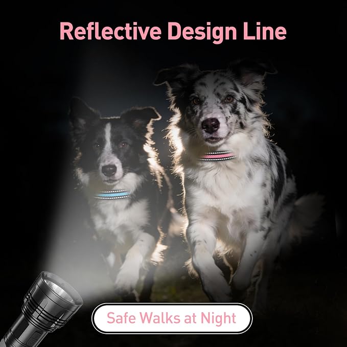 Replacement Collar Strap Fits Dog Training Collar Receiver, Shock Collar & Bark Collar Receiver, Durable Reflective Dog Collar, 2 Pack, Pink & Blue