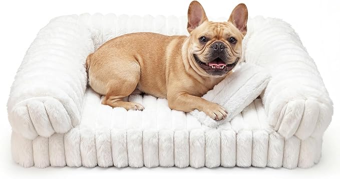 Cat Couch, Orthopedic Pet Bed, Washable Medium Pet Sofa Bed for Puppy and Small to Large Kitten with Anti-Slip Bottom, Fits Up to 65lbs Pets Cat Beds Self Warming