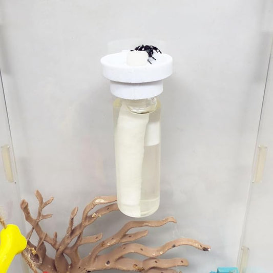Jumping Spider Water Dispenser, Magnetic Hanging Feeder,Suitable for Jumping Spiders,Tarantulas, Praying Mantises,Arboreal Animals, and Other Small Animal Enclosure Accessories (White, 15ML)