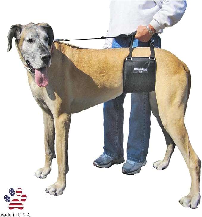 Dog Sling Hip Lift Support Harness, Tall Female, Made in USA | Fits Tall, Lean Dogs like Greyhounds or Great Danes, Padded Mobility Aid, Help Pets Walk or Balance, Machine Wash & Dry