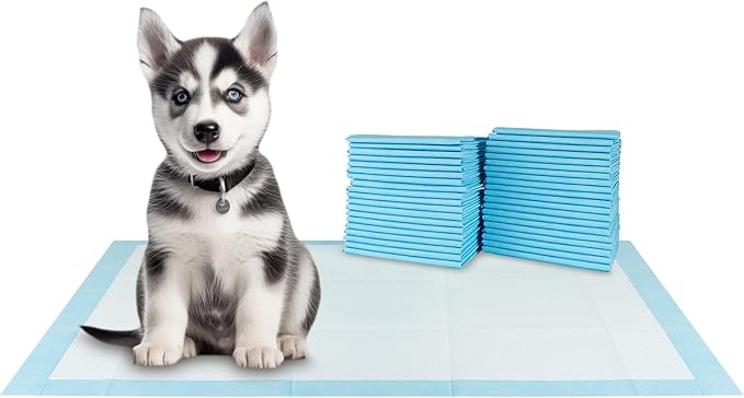 BV XXL Puppy Pads 40 Count 36" x 30" - Leak-Proof Pee Pads for Dogs with 6-Layer Design, Rapid Dry Sheet & Attractant - Dog Pad Extra Large with Odor Control - Perfect for Big Dogs & Indoor Use