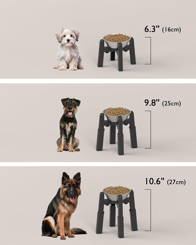 Elevated Dog Bowl, Raised Dog Bowl Stand with Stainless Steel Bowl | Elevated Pet Water & Food Bowl for Medium Dogs, Stable and Anti-Slip Raised Bowl