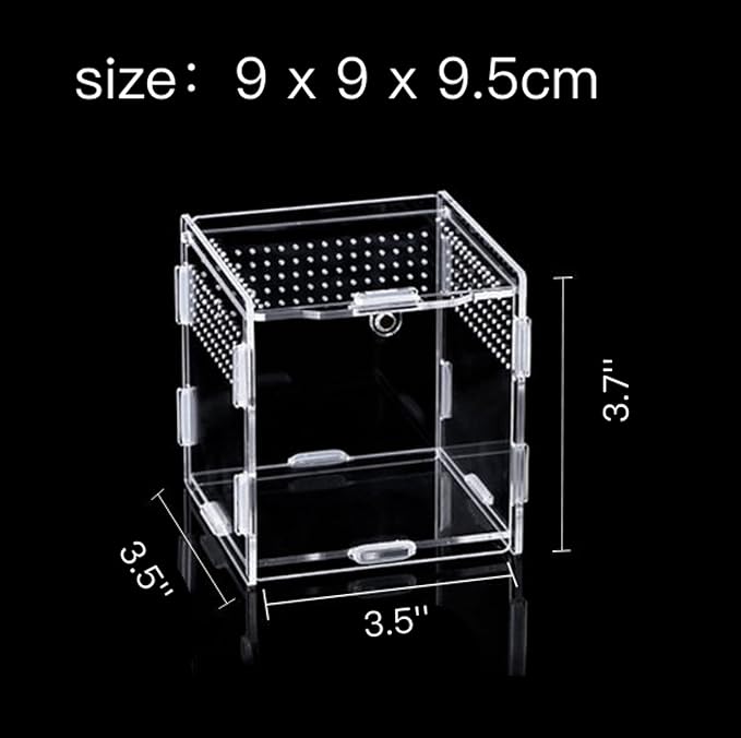 AWXZOM Magnetic Acrylic Case, micro habitat small Tarantula Enclosure enclosure for arboreal Tarantula Scorpion Sling Lizards Mantis Snake Gecko jumping spider snail Insect Isopods (3.5*3.5*3.7inch)