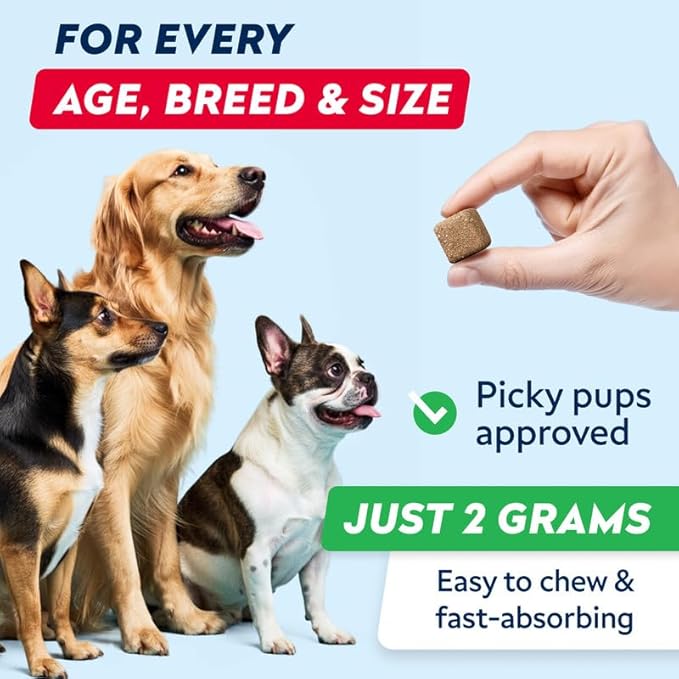 STRELLALAB Dog Pee Grass Chews - Urine Neutralizer for Green Grass Burn Spots - Grass Treatment for Pet Urine - Green Lawn Chews for Dogs with Probiotics - Made in USA (240Ct)