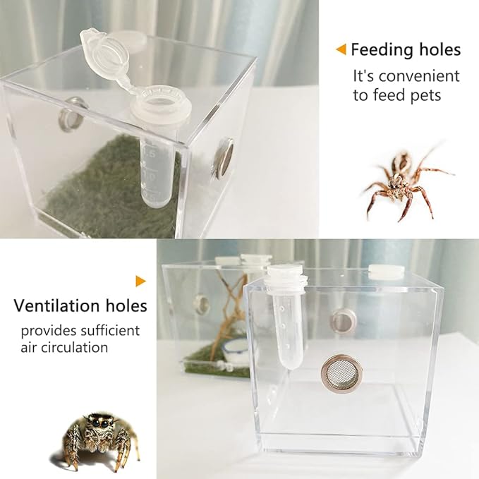 Jumping Spider Enclosure, Jumping Spider Habitat with Dropper Tongs Acrylic Reptile Breeding Box for Tarantula Scorpion Sling Isopods Invertebrates Insects Mantis Snake Gecko