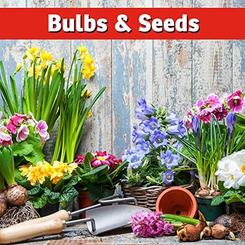 Répulsif anti-écureuils I Must Garden : Protège véhicules, plantes, terrasses et meubles – Efficace contre les tamias – Flacon prêt à l'emploi de 946 ml