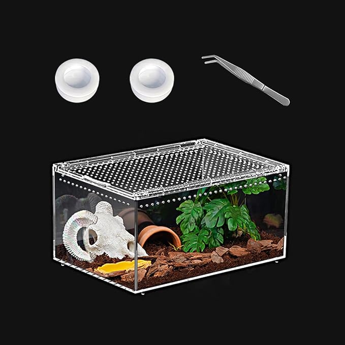 Reptile PC Terrarium 12" x 8" x 6", Tarantula Enclosure,Spider Tank Starter Kit, Hermit Crab Habitat,Lizard Enclosure,Insect Housing,Jumping Spider Cage