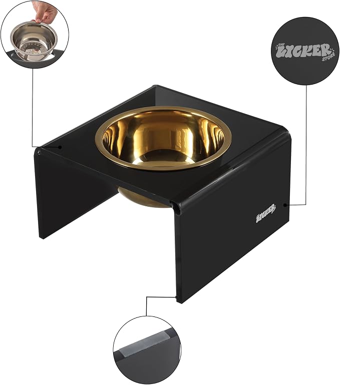 DBL2002B Keaton 5" Small/Medium Modern Acrylic Rectangular Elevated Pet Feeder with 20oz 1-Stainless Steel Bowl, Black/Gold