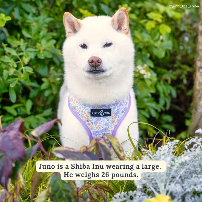 Lucy & Co. Reversible Dog Harness - Water-Repellent Neoprene, Dual-Print Design, Easy Swap Style, Adjustable Comfort Fit - Among Wildflowers Reversible Harness - X-Large