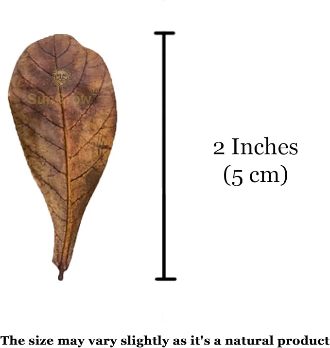 SunGrow 50 Pack Leaf Litter for Spider, Cricket & Isopod, Mini Catappa Dried Indian Almond Leaves, for Vivarium, Terrarium & Aquarium (Mini Leaves (2", 50-Pack))
