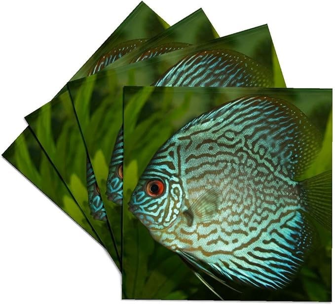 3dRose Blue Exotic Discus Fish Set of 4 Ceramic Tile Coasters