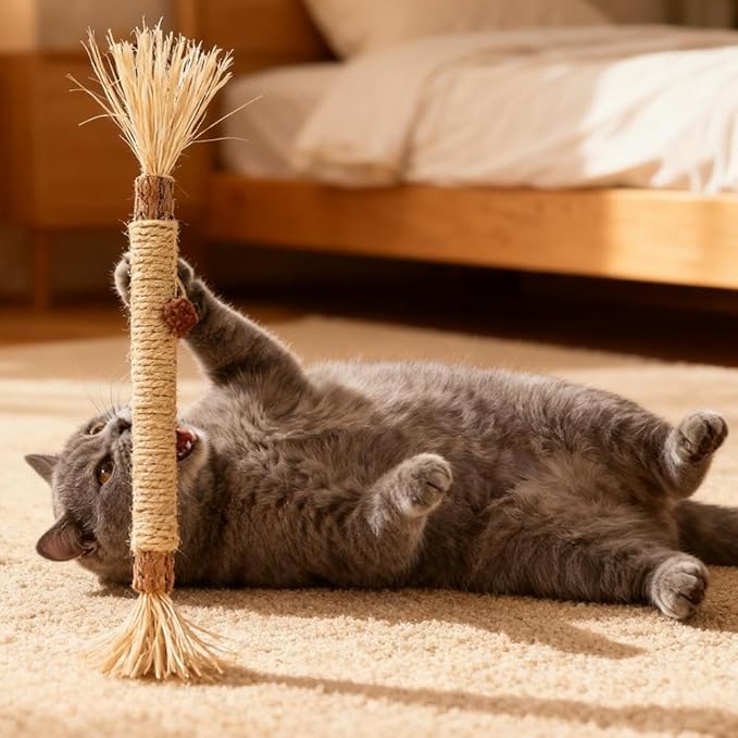 10 Pcs Puriq Natural Silvervine Dental Sticks,Silvervine Sticks for Cats, Interactive Cat Chew Stick for Teeth Cleaning, Scratch & Bite Resistant, for Indoor Kitty Fresh Breath