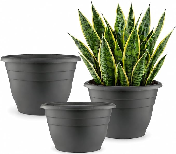 RooTrimmer 3 Pack 11 Inch Plant Pots with Drainage Hole and Plug,Plastic Flower Pots for Indoor & Outdoor Plants,Lightweight Plant Pots Perfect for Herbs,Flowers & Succulents(Gray)