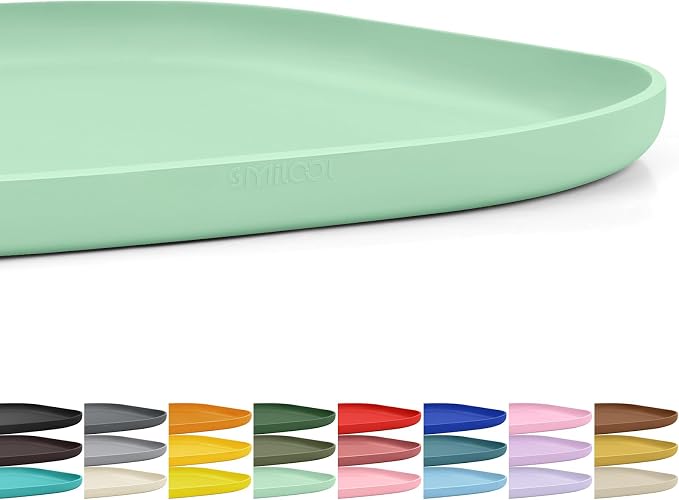 SMILOOL Waterproof Silicone Pet Food Mat with Raised Edge for Dog & Cat | 12" x 12" Non-Slip Small Pet Feeding Mats with Lip for Food & Water Bowl, Food Grade, Easy Cleaning, Mint Green