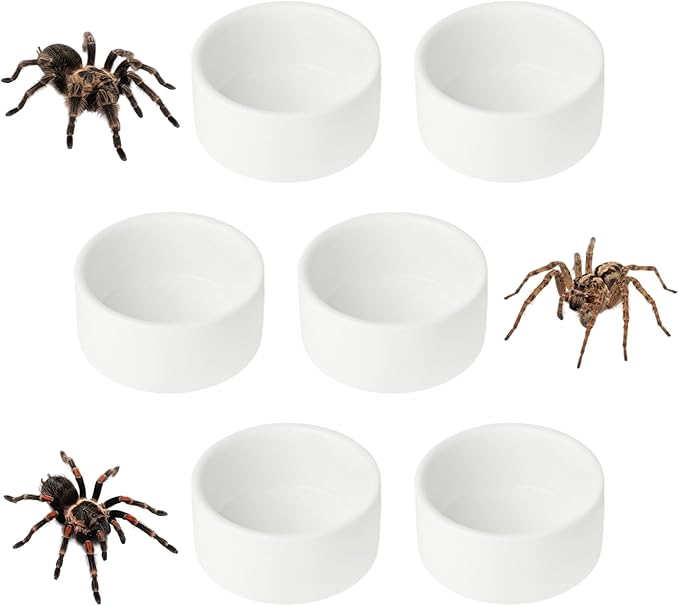 6 Pcs Spider Micro Ceramic Water Bowl, Mini Pet Dish for Spider Tarantula Scorpion Millipede Hermit Crab Tiny Reptile (1 oz)