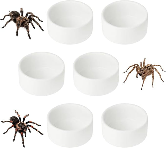 6 Pcs Spider Micro Ceramic Water Bowl, Mini Pet Dish for Spider Tarantula Scorpion Millipede Hermit Crab Tiny Reptile (1 oz)