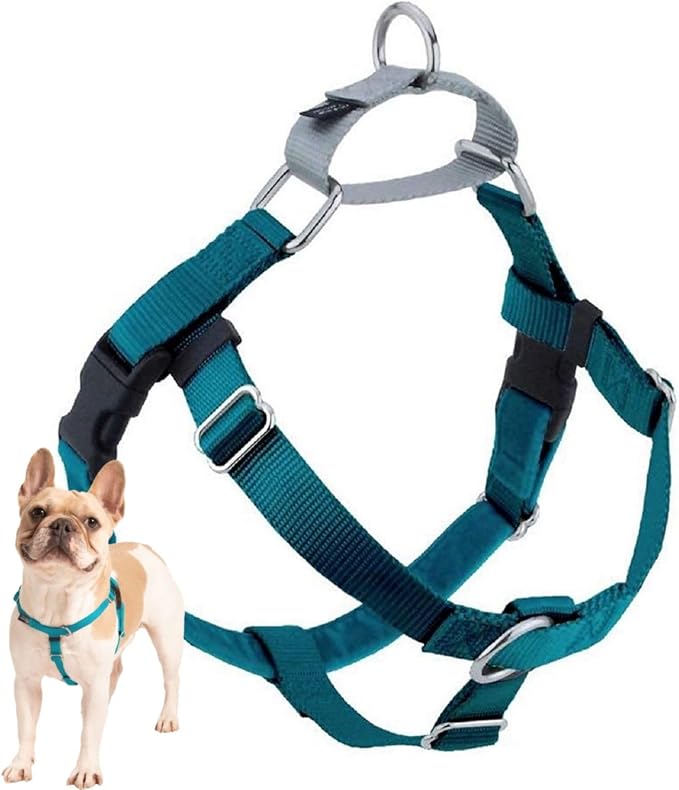 2 Hounds Design Freedom No Pull Dog Harness, Adjustable Harness, Easy Walking & Comfortable Control, Fits Small, Medium & Large Dogs, Solid Colors, Made in USA, 5/8" XS, Teal