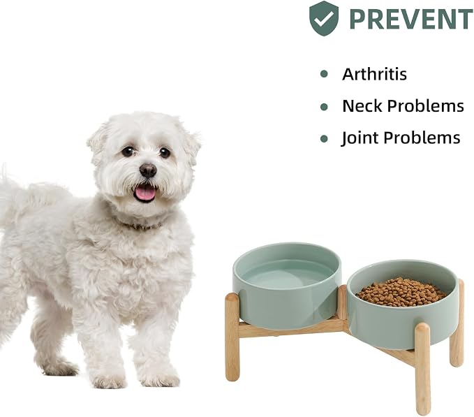 Havniva Elevated Dog Bowls Ceramic Dog Bowls with Stand, Dog Food Bowl | 6.1” Raised Dog Bowls with Non-Slip Wood Stand, Dog Food and Water Bowl Set, Double Dog Feeding Bowls for Small & Medium Dogs