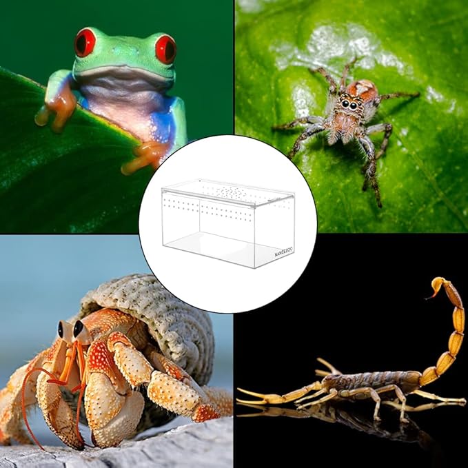 NANEEZOO Magnetic Acrylic Reptile Terrarium Enclosure, 8" x 4" x 4" Reptile Insect Breeding Box for Small Reptiles, Invertebrates, Mantis, Spider, Cricket, Tarantula
