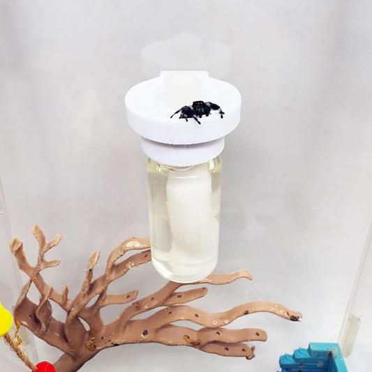 Jumping Spider Water Dispenser, Magnetic Hanging Feeder,Suitable for Jumping Spiders,Tarantulas, Praying Mantises,Arboreal Animals, and Other Small Animal Enclosure Accessories (White, 10ML)