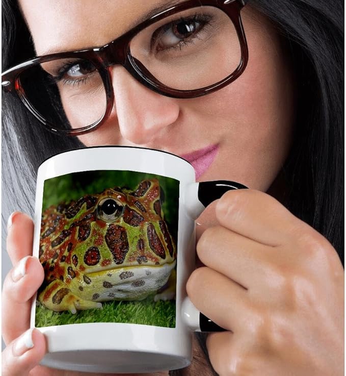 3dRose High Red Ornate Pacman Frog, Ceratophrys ornate, controlled conditions 11oz Two-Tone Black Mug