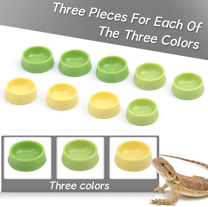 9 Pcs Spider Micro Water Bowl Snail Feeding Basin Cricket Plastic Dish for Tarantula Spider Scorpion Cricket Snail Manti Millipede Tiny Bugs