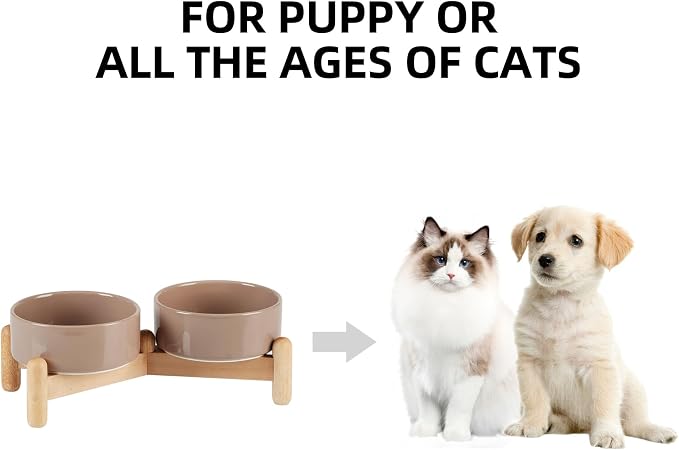 Havniva Elevated Dog Bowls Ceramic Dog Bowls with Stand, Dog Food Bowl | 5.1” Raised Dog Bowls with Non-Slip Wood Stand, Dog Food and Water Bowl Set, Double Dog Feeding Bowls for Small Dogs