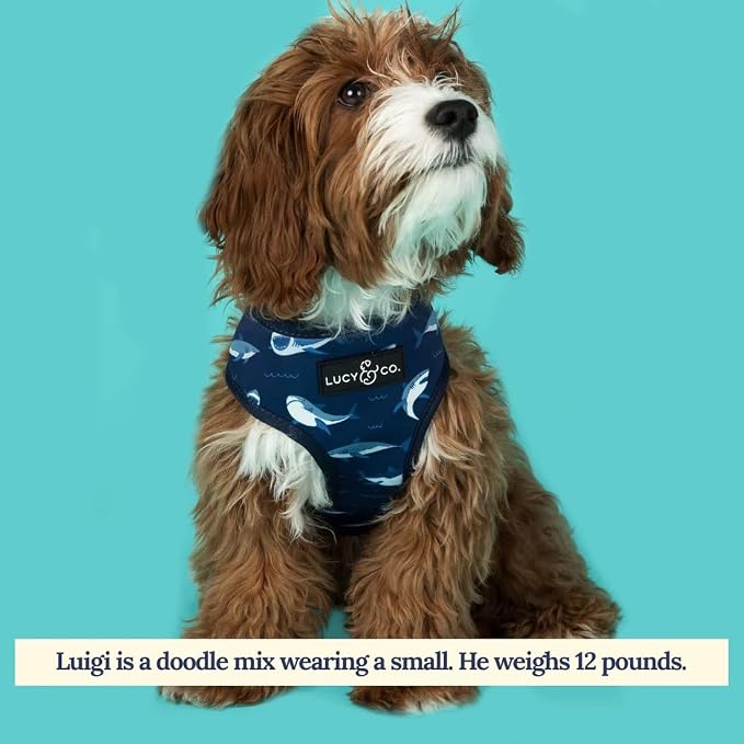 Lucy & Co. Reversible Dog Harness - Water-Repellent Neoprene, Dual-Print Design, Easy Swap Style, Adjustable Comfort Fit - Shark Attack Reversible Harness - Medium