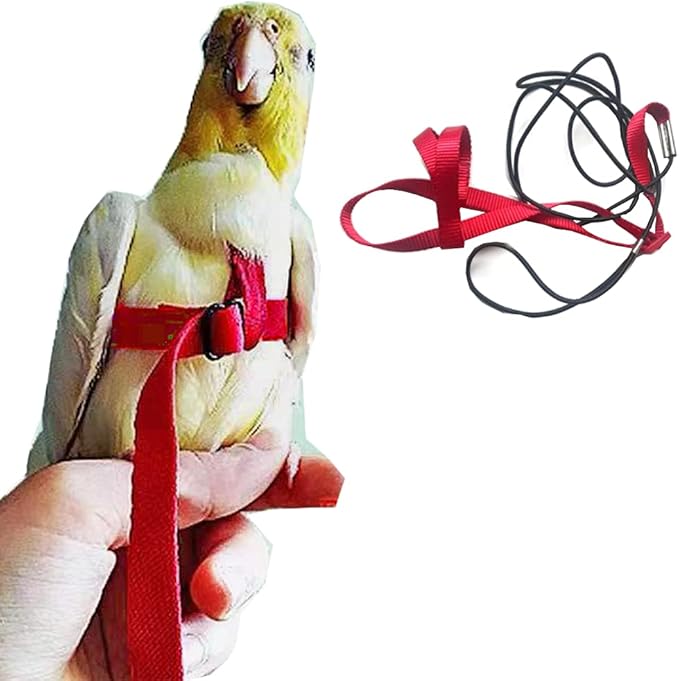 Adjustable Birds Harness and Leash Parrot Harness Leash Training Supplies Pet Anti-bite Outdoor Flying Rope for Conures Budgerigar Lovebird Cockatiel Mynah (M, Red)