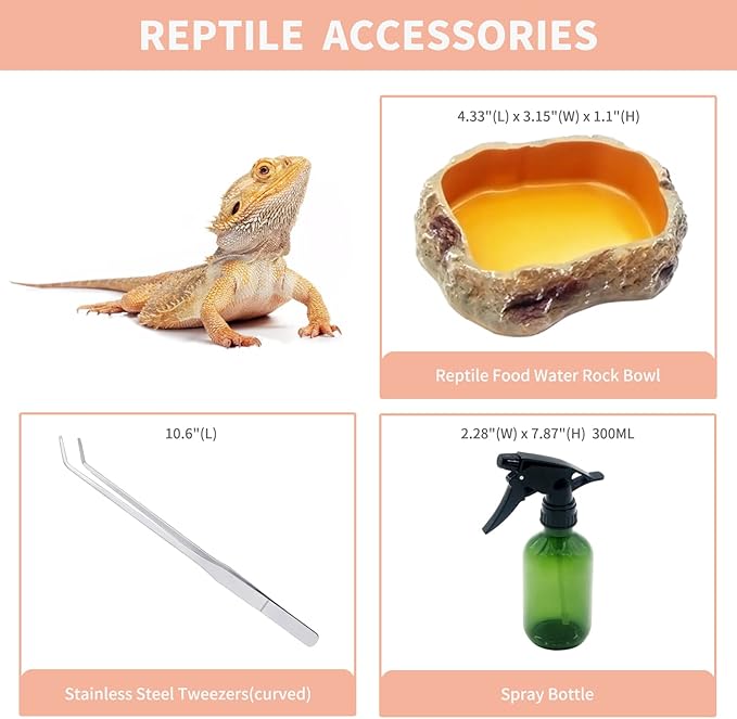 Reptile PC Terrarium Set, Reptile Tank 20" x 10"x 8",for Insect，Fish，Tarantula，Hermit Crab，Jumping Spider，Iguana，Tortoise，Leopard Gecko，Bearded Dragon