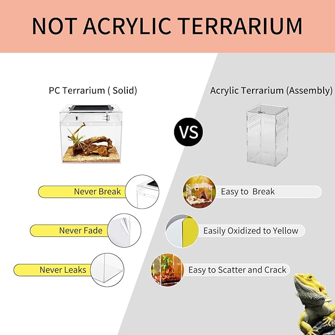 Reptile Growth mini Reptile Terrarium,8" x 8"x 8" Reptile Tank with Full View Visually Appealing，for Insect，Fish，Tarantula，Hermit Crab，Jumping Spider，Iguana，Tortoise，Leopard Gecko，Frog，Bearded Dragon