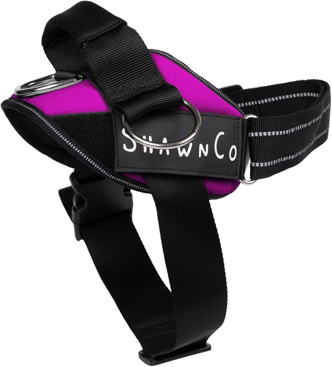 ShawnCo Essential Pro Dog Harness, No-Pull Pet Vest with 3 Leash Clips and Removable, Reflective Side Patches, Adjustable and Padded Harness for Small, Medium and Large Dogs (Orchid, L)