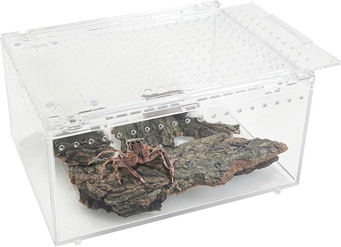 Reptile Terrarium Enclosure 8"x6"x4" Acrylic Tarantula Breeding Box Magnetic Hermit Crab Habitat Transparent Jumping Spider Cage for Insect Snail Amphibians Sling Isopods