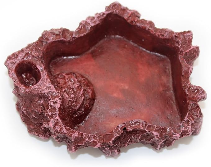 OMEM Reptile Natural Bowl Food and Water Dish Resin Made (Red S)