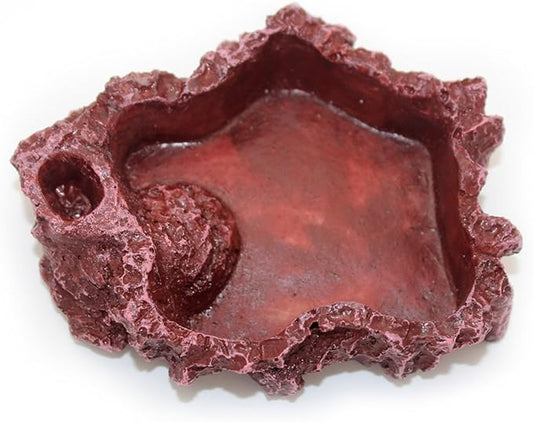 OMEM Reptile Natural Bowl Food and Water Dish Resin Made (Red S)