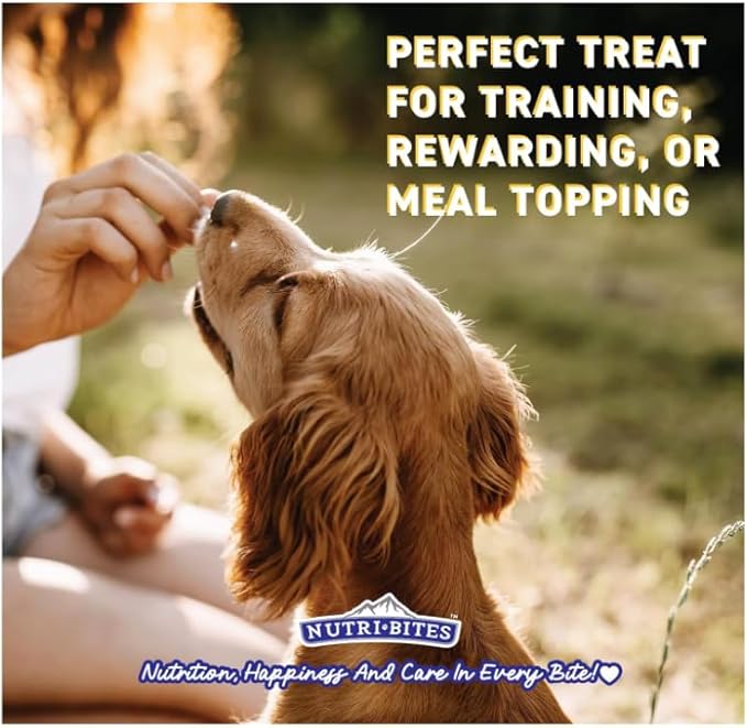 Nutri Bites Freeze Dried Salmon Dog & Cat Treats, 14oz | Healthy Pet Training Treats or Food Topper | All Natural, 1 Single Animal Protein, High Protein