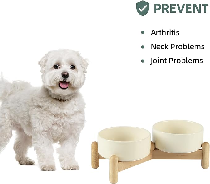 Havniva Elevated Dog Bowls Ceramic Dog Bowls with Stand, Dog Food Bowl | 5.1” Raised Dog Bowls with Non-Slip Wood Stand, Dog Food and Water Bowl Set, Double Dog Feeding Bowls for Small Dogs