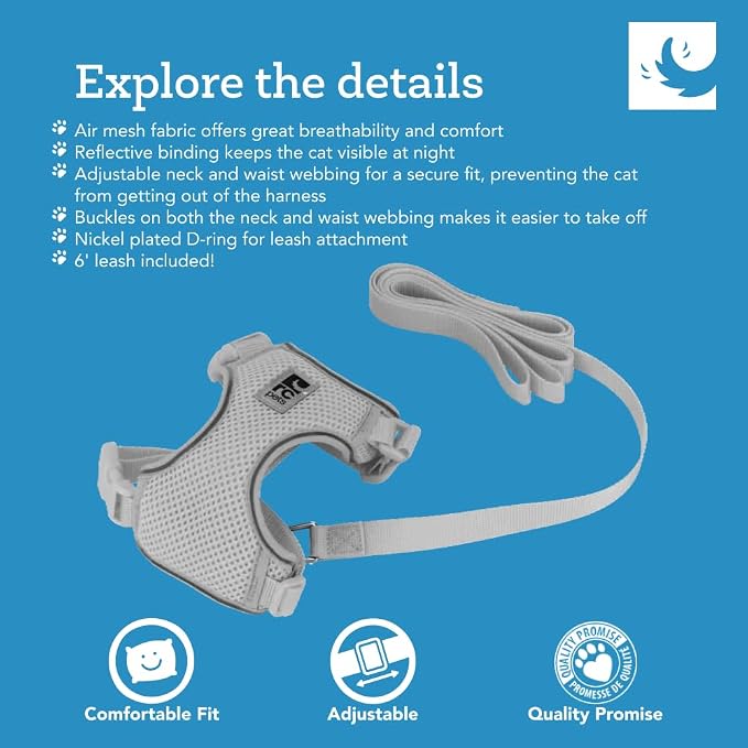 RC Pets Adventure Kitty Cat Harness | Adjustable Airmesh Vest with D-Ring and 6ft Leash for Walking and Travel | Lil Heart, Medium