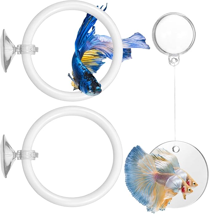 Molain Betta Fish Enrichment Toys, Betta Fish Tank Accessories 2 Training Rings 1 Mirror with Floating Ball Plastic Aquarium Enrichment Toys Set for Fishes Exercise Mental Stimulation