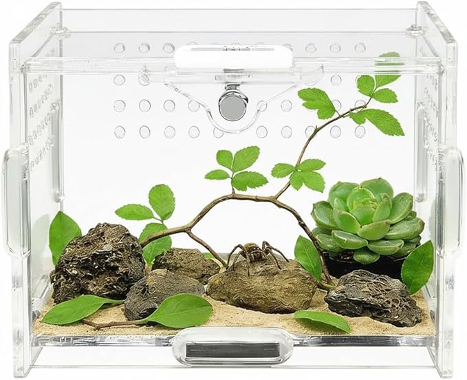 Acrylic Jumping Spider Enclosure - Multi-Purpose Reptile & Insect Habitat Cage with Ventilation for Jumping Spiders,Arboreal Tarantula, Scorpion, Lizard, Snake, Gecko, Snail & Isopod(3.9x3.1x2.7'')